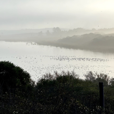 Laguna de Medina